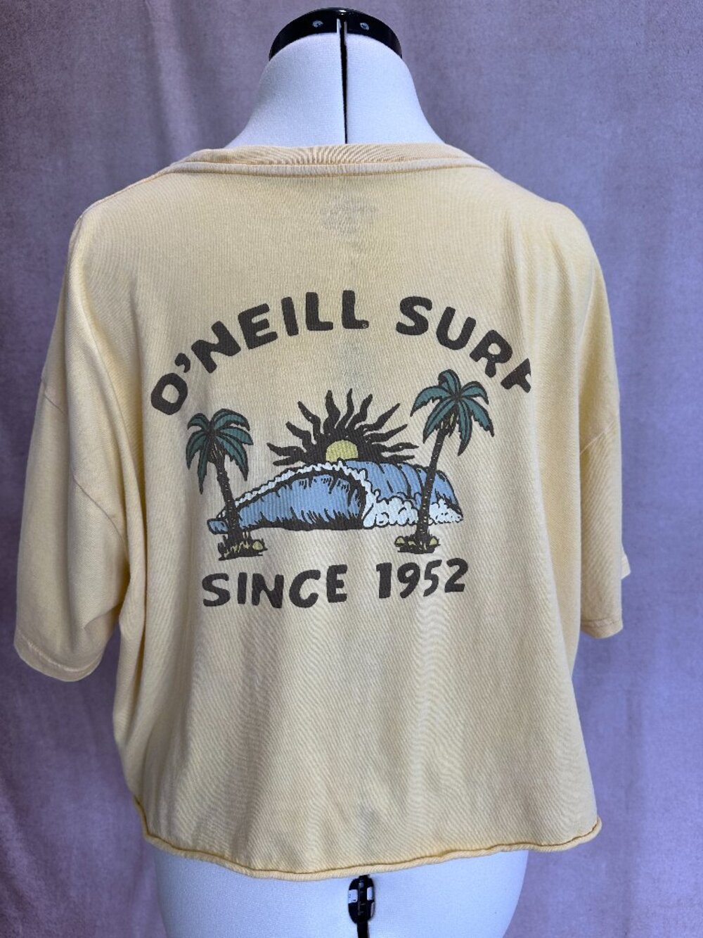 O'Neill Surf Oversized Cropped T-Shirt, L